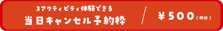 2~3アクティビティ体験できる当日キャンセル予約枠/500円(税込)